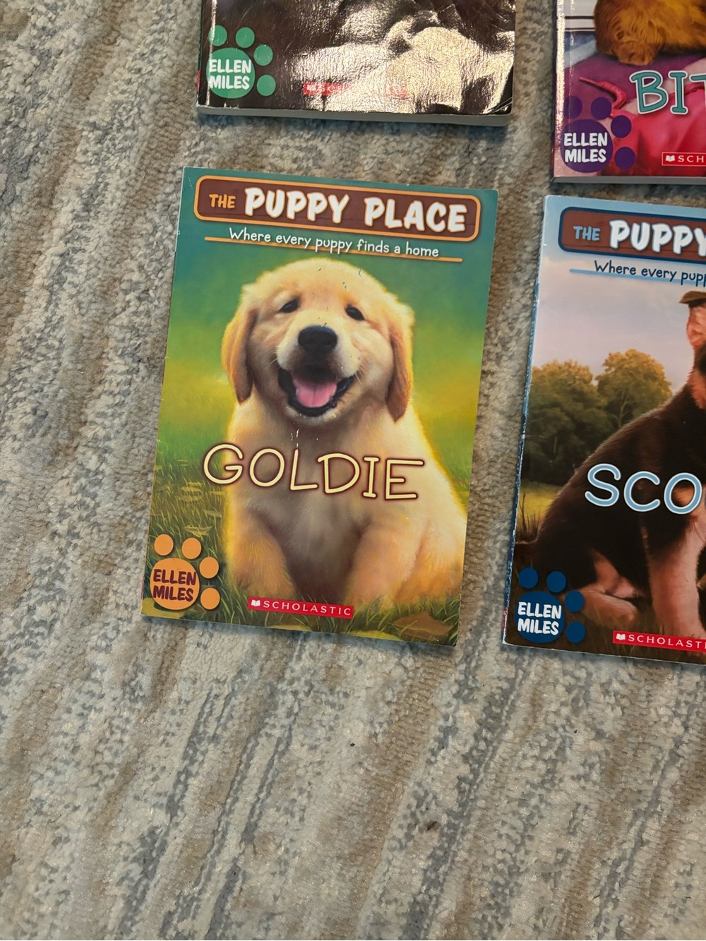 Kids Book Collection - Assorted Cover Colors - Picture 5 of 5